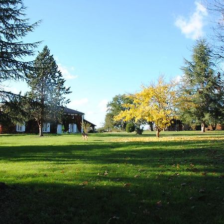 Le Chateau De Roquebere Condom Bagian luar foto