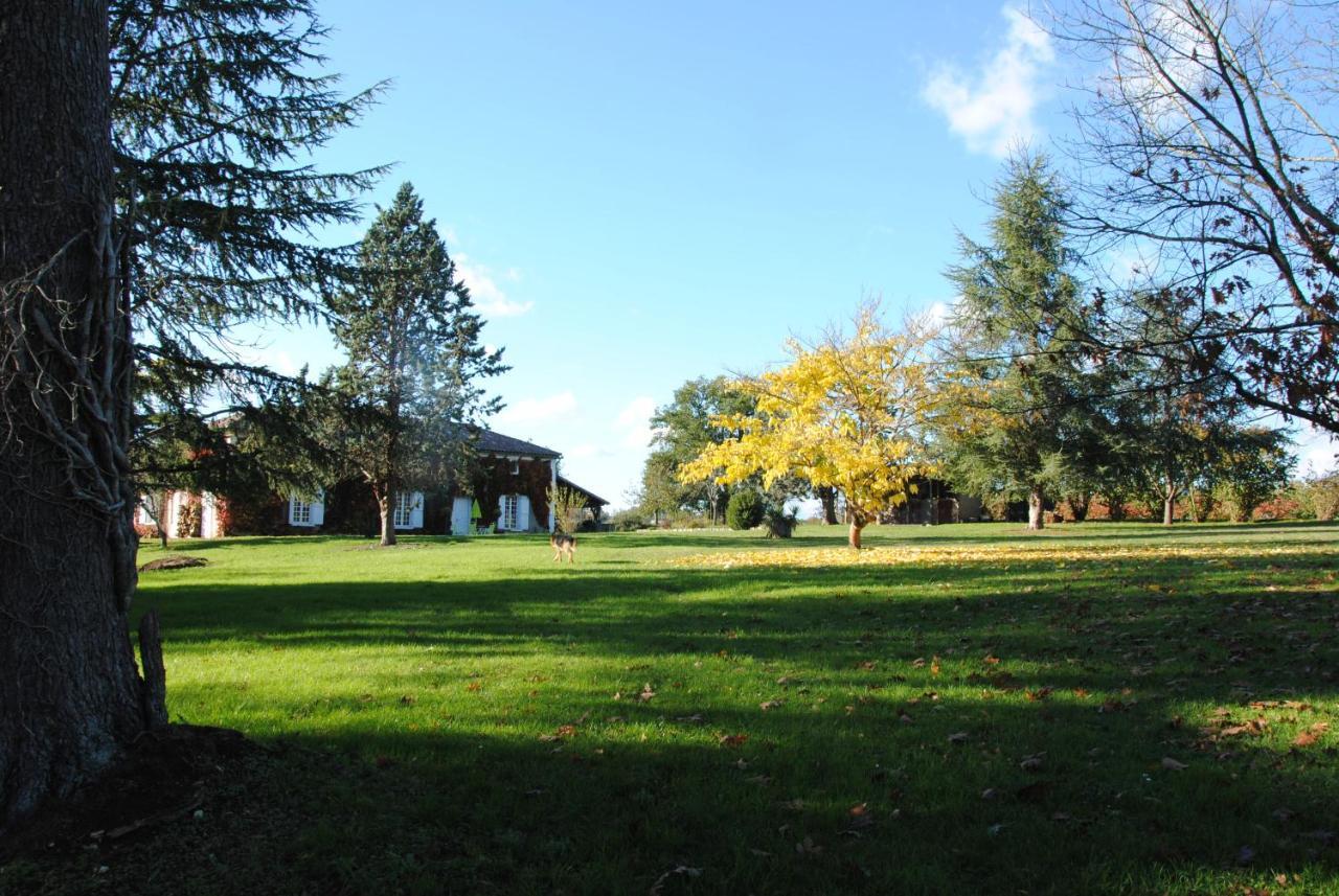Le Chateau De Roquebere Condom Bagian luar foto