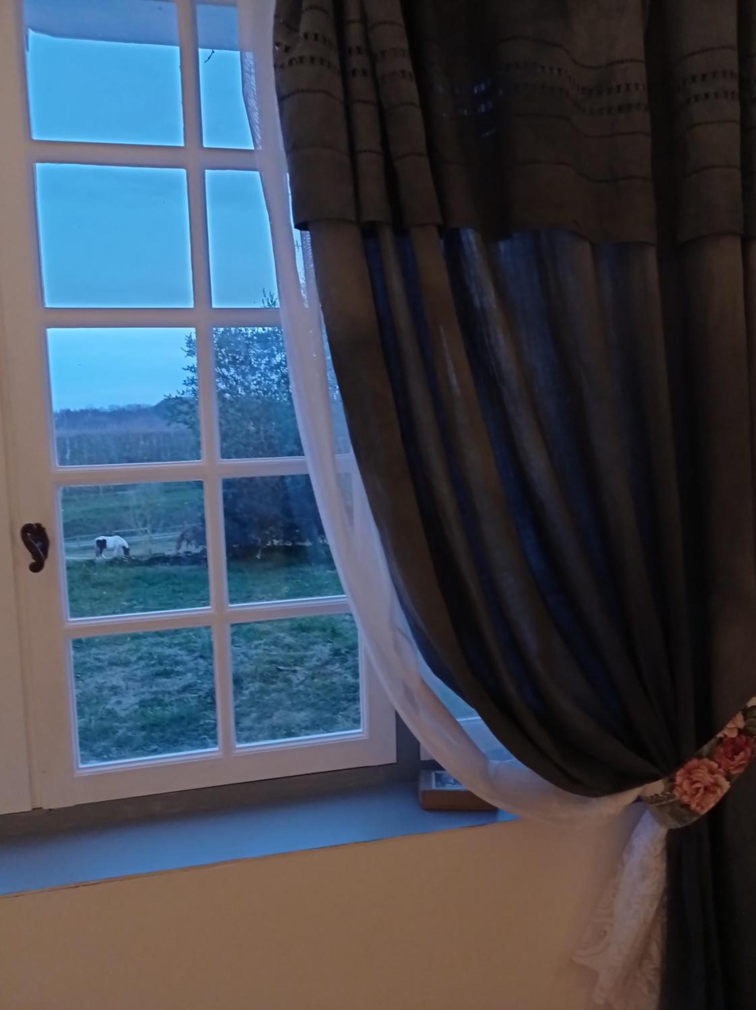 Le Chateau De Roquebere Condom Bagian luar foto