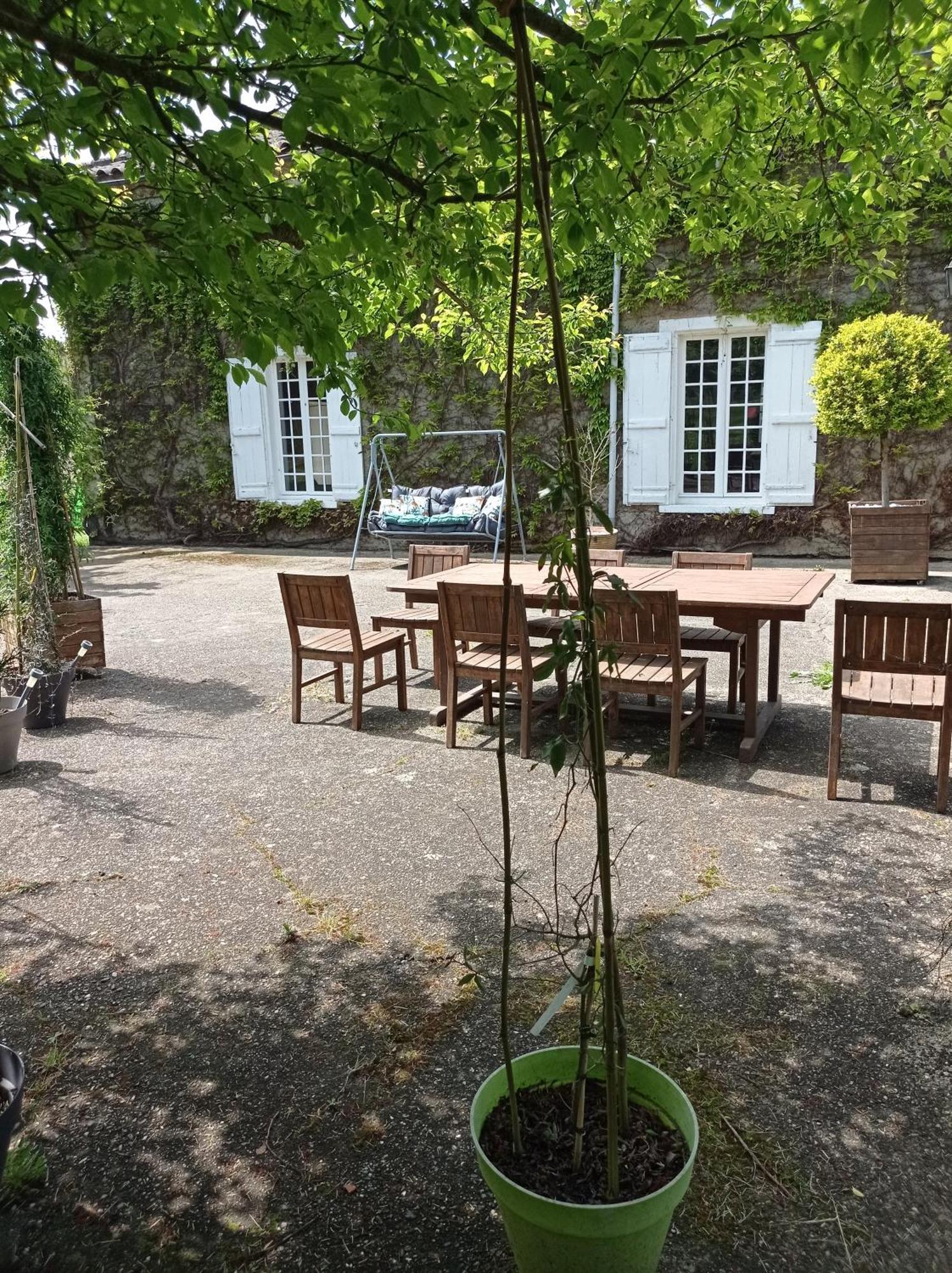 Le Chateau De Roquebere Condom Bagian luar foto